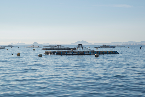 水產養殖無線監控系統