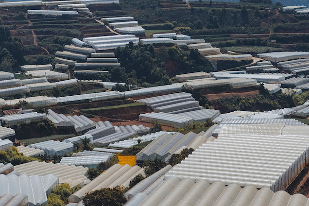 現代化溫室農業監測系統